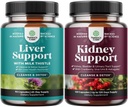 Svazky z čistírny jater Detox & Opravy - Silymarin Mléko Thistle doplňky s kořen pampelišky, Choline, Beetroot & Artichice Extract a Podpora ledvin s Uva Ursi, žihadlo a astragalus
