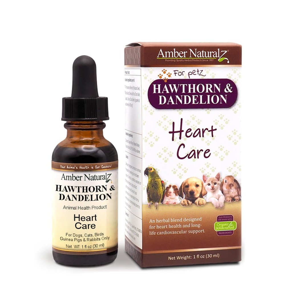 Amber NaturalZ Hawthorn & Pampeliška Bylinný dodatek pro psy, kočky, ptáci, králíci, a Guinea Prasata 124; Podporuje srdeční zdraví, oběh a rovnováhu tekutin 124; Přírodní kardiovaskulární péče