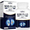 Superoxid Dodatek k dimutaci 500mg - SOD Plus s liposomální glutathione, AKG, Green Tea Extract, L- Arginin, Lysin, Resveratrol a vitamin E pro imunitní podporu, Antioxidant 60 Kapsle