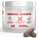 Fadogia Agrestis 1000mg Per Serving Supplement - Potent Extract to Increase Energy, Atletic Performance & Muscle Mass - doplňky, Made in The USA (60 Kapsle)
