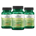 Swanson Lactobacillus Gasseri Probiotic pro dospělé hledá stravitelnou a metabolickou podporu s 3 biliony CFU - Acid- Resistent, No Resigeration (60 Vegan Kapsle, 3 Pack)