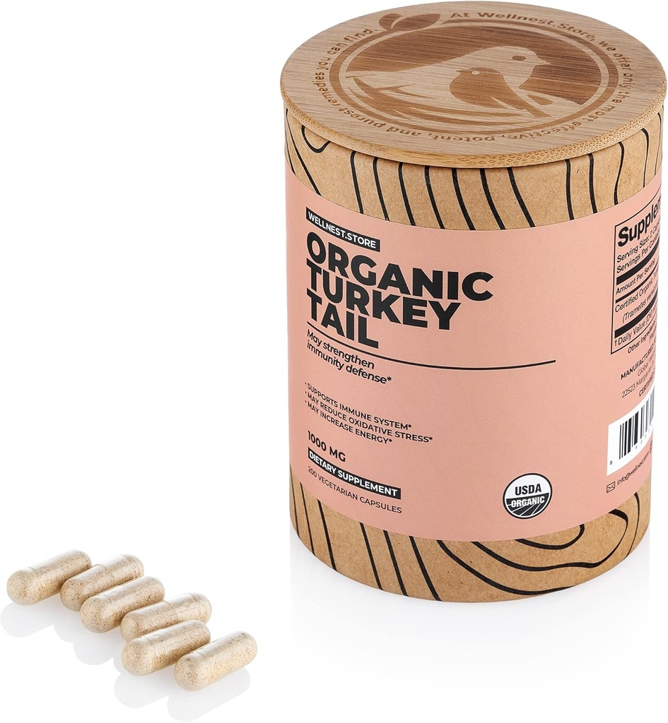 Wellneste. Uložit Turecko Tail Organic Houba (Trametes Extract) 200 Veggie Caps - Imunitní Supplement podpory; Podporuje růst prospěšných bakterií v Gut + zvyšuje energii
