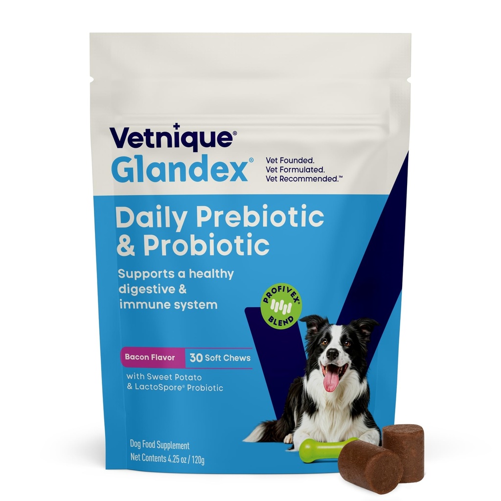Vetnique Glandex Daily Probiotika pro psy s prebiotiky na podporu Gut zdraví s vlákny a trávicí enzymy, Probiotické žvýkání nebo prášků (30ct Chews, Bacon Chews)