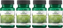 Swanson Oregano Oil 10: 1 Extrakt - Přírodní dodatek k podpoře trávicího zdraví a respiračního systému - podporuje Gastrointestinální systém a močové trakt zdraví - (120 Softgels, 150mg každý) (4 balení)