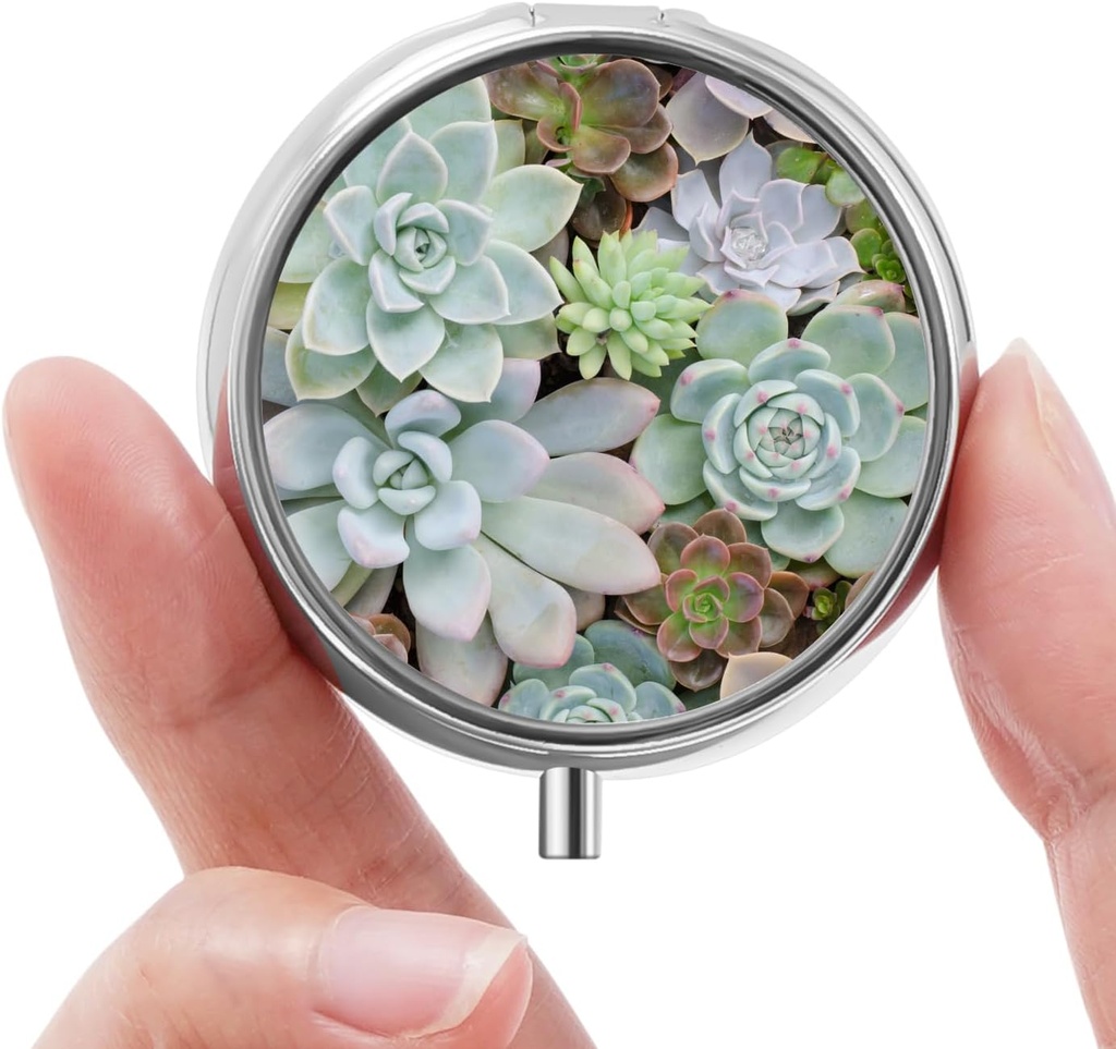 Mini Pill Box, Malé Pill Box, Přenosná Pill Box, Roztomilý Pill Organizátor pro vitamíny, Léky, Rybí olej a doplňky (Succulent)