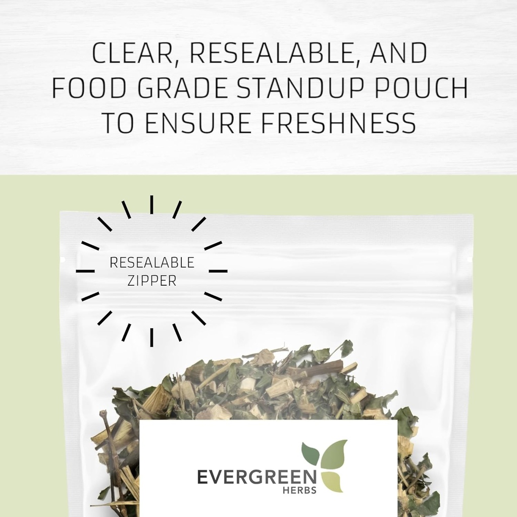Evergreen Byliny Cuachalalalalate Herb (Amphipetyglum Adstringens) - Resealable Stand Up Pouch zajistit čerstvost! (Tea Bags)