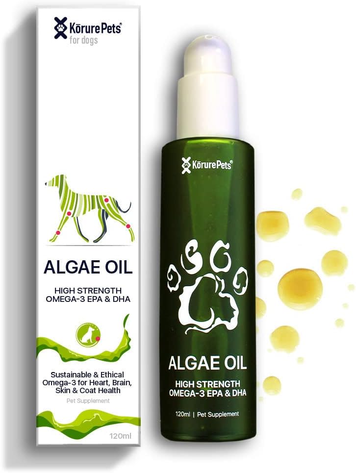 Omega 3 pro psy, kůže a kabát dodatek pro psy, Řasy olej, alternativní rybí olej pro psy, alergie a pes Itch Relief, pes proti prolévání dodatek, Psí suchá kůže léčba, Z Nového Zélandu 120ml