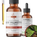 Saw Palmetto tinktura 124; Premium Alkoholo- Free Bylinný extrakt ze Saw Palmetto Berries 124; Tekutý botanický dodatek 124; Tradiční Bylinný vzorec 124; Made in USA - 2 oz (60 ml)