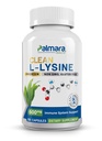 Palmara Health Clean L- Lysin 600mg, 120 Kapsle CLAS124; Vegan, Non- GMO, & gluten zdarma