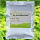 Námořní borovice Bark Extract Powder 95% OPC čistý antioxidant 200g