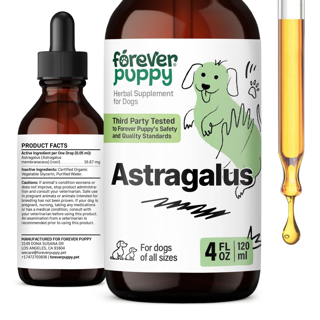 Navždy štěňata Astragalus kořenové kapky pro psy - Astragalus Membranaceus Extract pro psy 'imunitní podpora - Bylinné Pet tekuté doplňky pro imunitu a veselé Pet Care - 4 oz