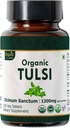 Tulsi 120 Tablety - USDA Organic Holy Basil - Podporuje Stress Relief & Adaptogenic Balance 124; Dietní doplněk 120tab