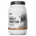 Levels Grass Fed syrovátkový protein prášek, bez umělých látek, 24G proteinu, čistá čokoláda, 2LB