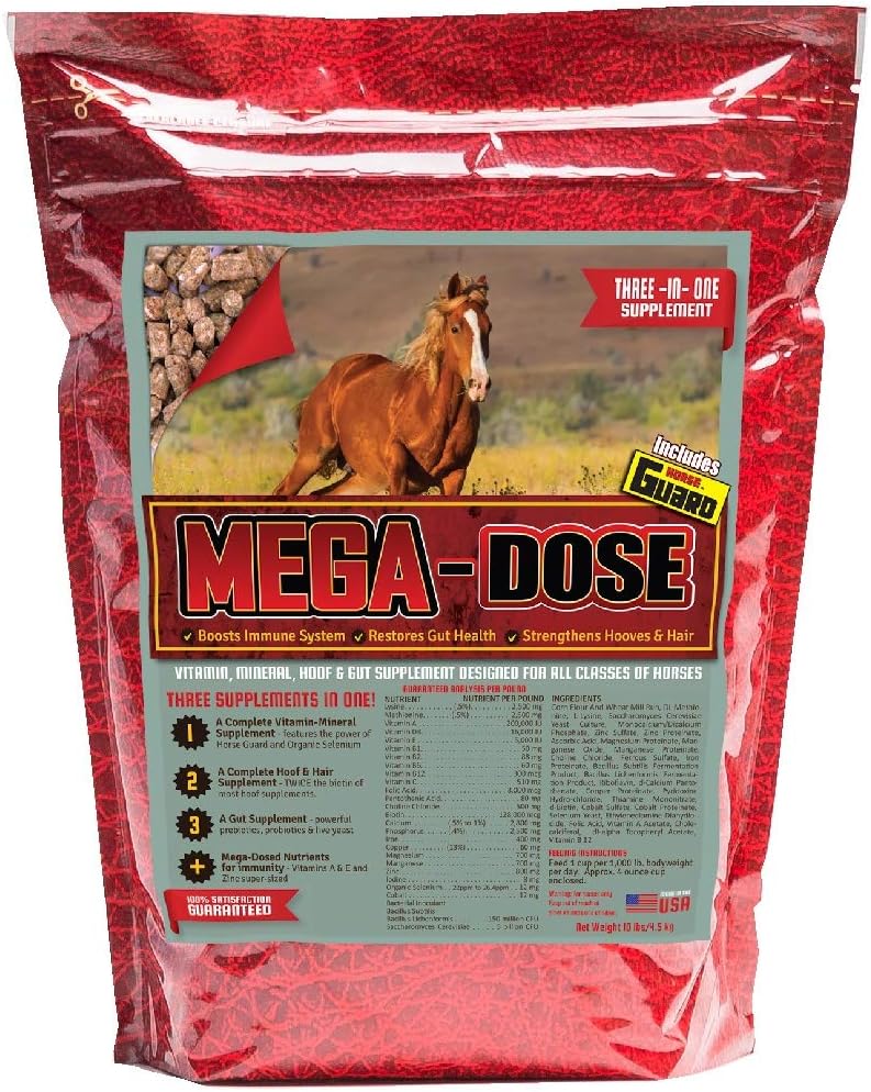 Mega Dávka 10 liber, Koňský vitamin Mineral s plnou obsluhou Doplněk Horse Guard & Hoof Guard