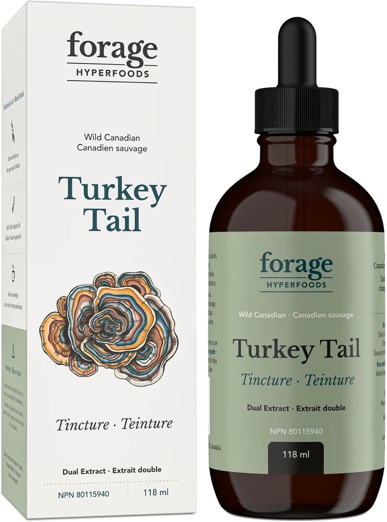 Forage Hyperfoods - Původní kanadský divoký Turecko Tail Houba Superfood Liquid Supplement Extract Tincture, Vegan, Non- GMO, imunitní systém a Gut Health Support, 118ML