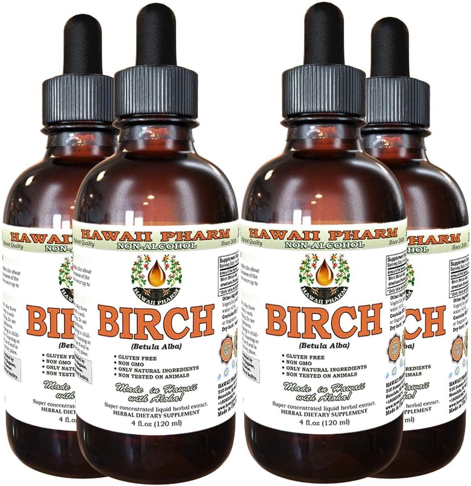Birch Alcohol- Free Liquid Extract, Birch (Betula Alba) Sušený Bark Glycerite Hawaii Pharm Natural Bylinný doplněk 4x4 oz