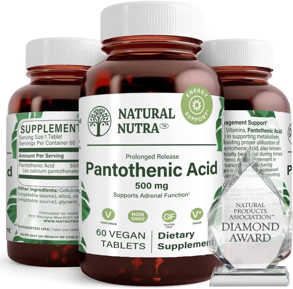 Natural Nutra Time Release Pantothenic Acid 500 mg, Vitamin B5 dodatek pomáhá lámat tuk a sacharidy, Metabolismus a energie, Zlepšit svalové zdraví, 60 Vegetariánské tablety (3 balení)
