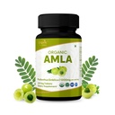 Amla 120 Tablety - USDA Organic Indian Gooseberry - Bohaté na vitamín C & Podporuje imunitní zdraví *