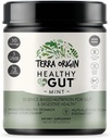 TERRA ORIGIN Zdravý Gut Mint Flavor 124; 30-Servings with L-glutamin, Zinek, Glucosamine, Slippery Elm Bark, Marshmallow Root and More!