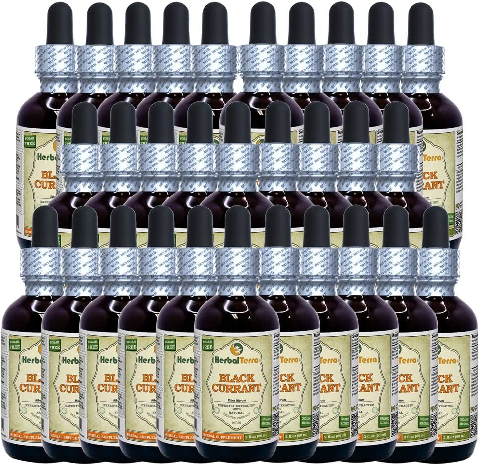 Černý rybíz (Ribes nigrum) tinktura, sušené listy tekutý extrakt (značka: HerbalTerra, Proudly Made in USA) 30x2 fl.oz (30x60 ml)