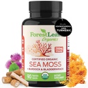 ForestLeaf Organic Irish Sea Moss Kapsle 124; 2100mg Raw Seamoss Pills Pokročilý dodatek Superfood + Burdock, Bladderwrack pro stravovací, Respirační, imunitní zdraví 124; 90 Vegan Organic Sea Moss Caps