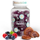 Jednotka Reishi Mushroom Gummies - Uklidňující gumy pro dospělé a děti - Focus Supplement for Stress, Relaxation, Imunitation Support - 4000mg Triple- Extraded Fruiting Body - Mixed Berry, 60 Count