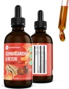 360 Nutrition Ashwagandha & Reishi Root Downs for Stress Relief, Stamina & Longevity, and Energy Support - Vegan Non-GMO Adaptogenic - 4 fl oz, 60 Servings