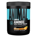 Zvířecí šťavnaté aminokyseliny - BCAA Powder EAA Matrix Plus Hydratace s elektrolyty a mořskou solí kdykoliv obnovit a zlepšit výkon, Orange Flavor, 30 Servings
