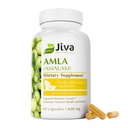 Jiva Botanikálie Amla Kapsle (Amalaki) - 60 Veganské Kapsle - Amla Powder - Indian Gooseberry Supplement for Vitality