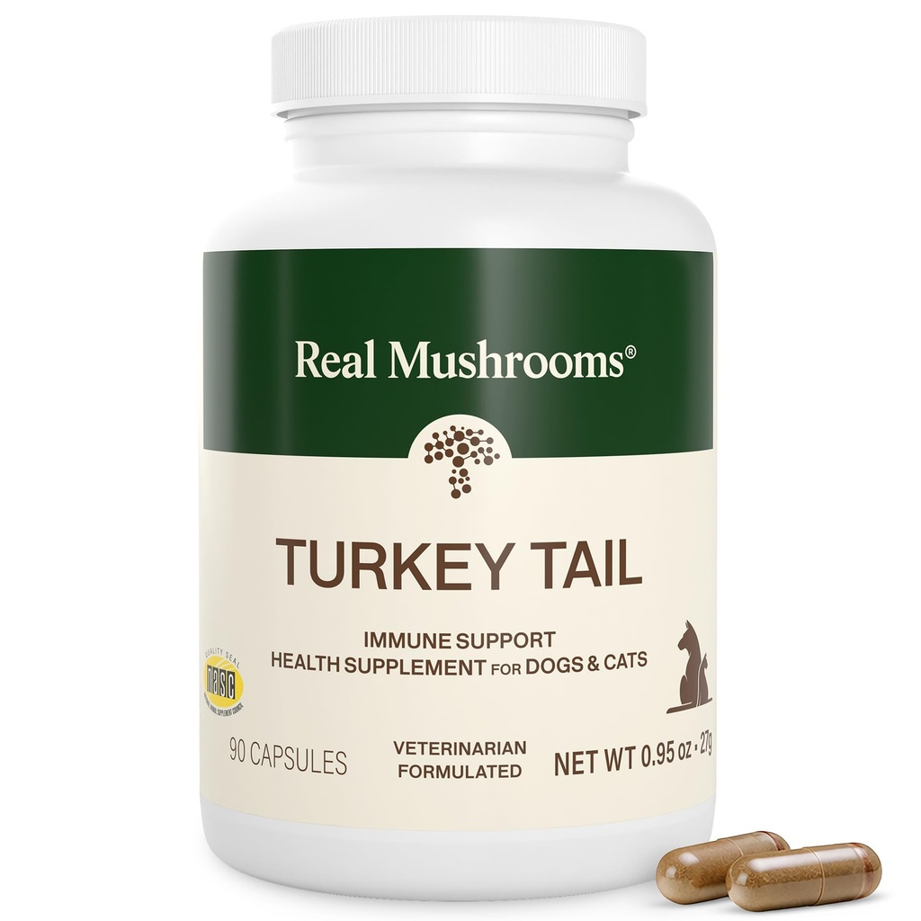Real Houby Turecko Tail Kapsle pro zvířata v zájmovém chovu - Cat Probiotika & Dog Vitamíny - Organic Houby Dodatek pro psy & Kočky - Podporuje denní rovnováhu & Well- Being Non- GMO, 90 ct