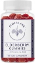Elderlane Elderberry Gummies pro dospělé a děti - Imunitní podpora - Non- GMO, Vegan, gluten- Free, Gelatin- Free - 60ct, 100mg