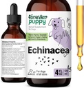 Navždy štěně Echinacea kapky pro psy - Imunity Support & Respirační zdraví w / Echinacea Herb Extract - Liquid Imunitate Support Supplementary for Dogs of All Breeds & Sizes - 4 oz
