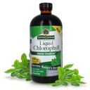 Odpověď přírody tekutý chlorofyl, 100 mg, 16 fl oz (480 ml)