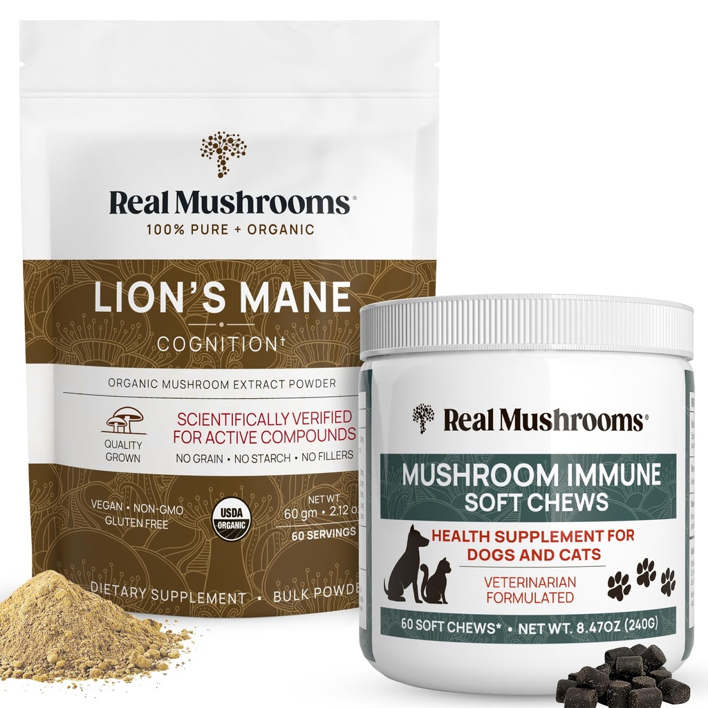 Pravé houby Lions Mane Powder for humans (60g) & Houbová imunitní žvýkačka (60ct) - Bundle for Cognition & Imunity - Ashwagandha, Astragalus & More - Vegan, Non- GMO, Gluten- Free, Grain- Free