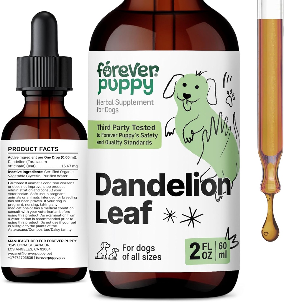 Navždy štěňata listové kapky pro psy - Ledviny Zdraví tekutý dodatek pro velké, střední a malé psy - Ledviny čištění Detox Kapky w / Pampeliška listy tinktura - 2 oz