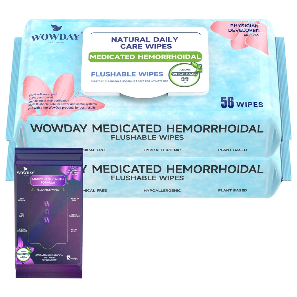 Flusable Hemoroid Wipes S124; Medikované čarodějnice Hazel Wipes Ph Balanced S124; 112 Count Frigance Free Adult Hemoroid Léčba čarodějnic Hazels Wipe for Butt Itch Relief Soothing