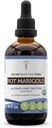 Tajemství Tribe Pot Marigold USDA Organic CLANE124; Alkoholo- Free Extract, High- Potency Bylinné Kapky CLANE124; Vyrobeno ze 100% Certified Organic Pot Marigold (Calendula, Calendula Officinalis) Sušené květiny (4 oz)