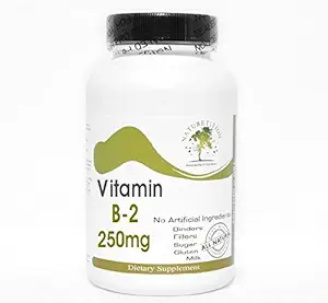 B-2 Vitamin 250mg ~ 100 Kapsle - Žádné přísady ~ Naturetition doplňky