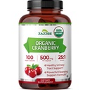 Zazzee USDA Organic Cranberry 25: 1 Extract, 500 mg na kapslí, 100 Vegan Kapsle, Více než 3 měsíce Dodávka, Standardizované, Koncentrovaný 25X Extract, 100% Vegetarian, Certified Organic, Non- GMO All- Natural