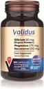 Validus Silicium 90 Kapsle (Vicaps Plus)