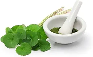 (Balení po 2) Organic Centella Asiatica Powder (50g)