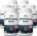 1600 mg Lipozomální NAD dodatek, 98% čistý NAD + dodatek, Superior Absorpce, Alternativa k nikotinamid Riboside nebo NADH k posílení NAD + pro stárnutí obrany, energie, dlouhověkost, 360 Softgels