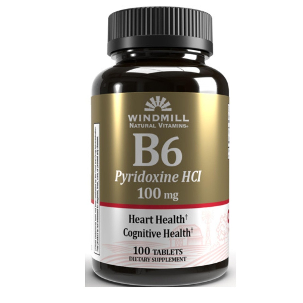 VIT B- 6 TABS 100 MG WMILL 100