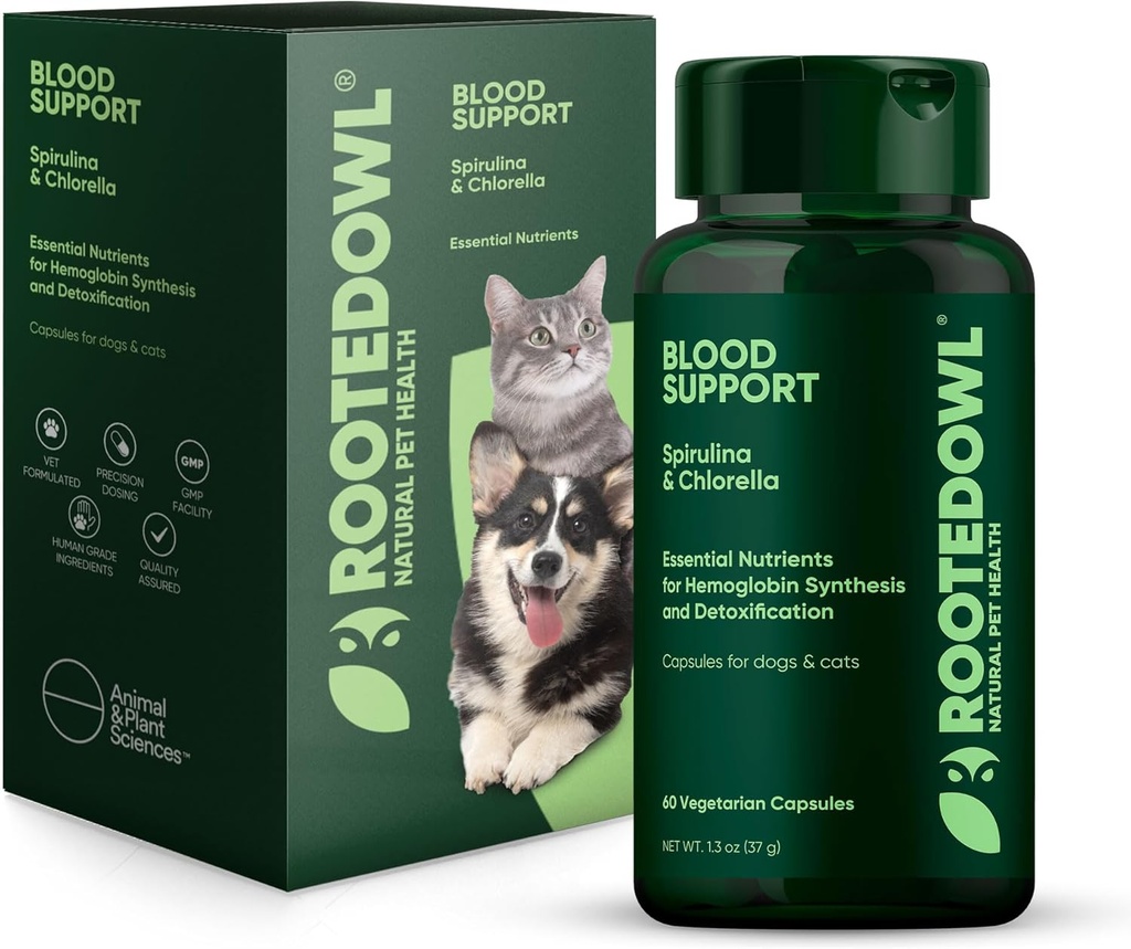 Zakořeněná Owl Blood Support - Imunita, Zotavení a Železný dodatek pro psy a kočky - Anemie Podpora s Spirulina a Chlorella - 60 / ct Veganské kapsle