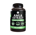 PURE ORIGINAL INGREDIENTS Amla Extract (365 Kapsle) Ne hořčík nebo rýžové plnidla, Vždy čisté, Laboratorní ověřené