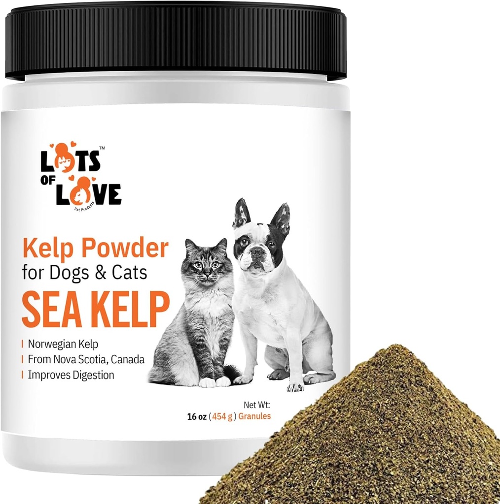 Kelp Powder for Dog & Cat - Organic Sea Kelp dodatek Granules Powder (16 Oz, 1 libra)