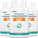 Orgabay Liposomal NAD + Příplatek 500 mg, vysoká absorpce, zvýšení NAD + s TMG 250 mg, skutečný NAD Plus účinnější než nikotinamid Riboside, podpora buněčné energie, zdravé stárnutí 124; 180 Softgels