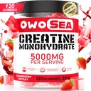Creatine Monohydrát Gummies pro muže a ženy 5000mg Creatine Monohydrát per Serving for Muscle Support Energy Boost 120 Count Chewable 5g Creatin Supplement Cukr zdarma Vegan (1 balení, Jahoda)