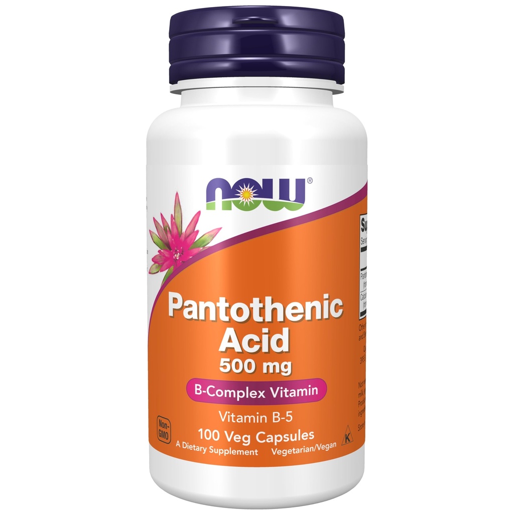 Nyní Potraviny doplňky, Pantotenová kyselina (vitamin B- 5) 500 mg, B- komplex vitamin, 100 tobolek
