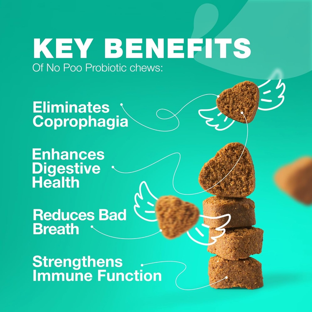 No Poo Chewables for Dogs - Enzymy, Dog Probiotics for Digestive Health - Canine Digestive, Gut & Imunitary Health Supplement